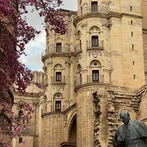 https://letmalaga-cathedral.hotelsinnerja.org